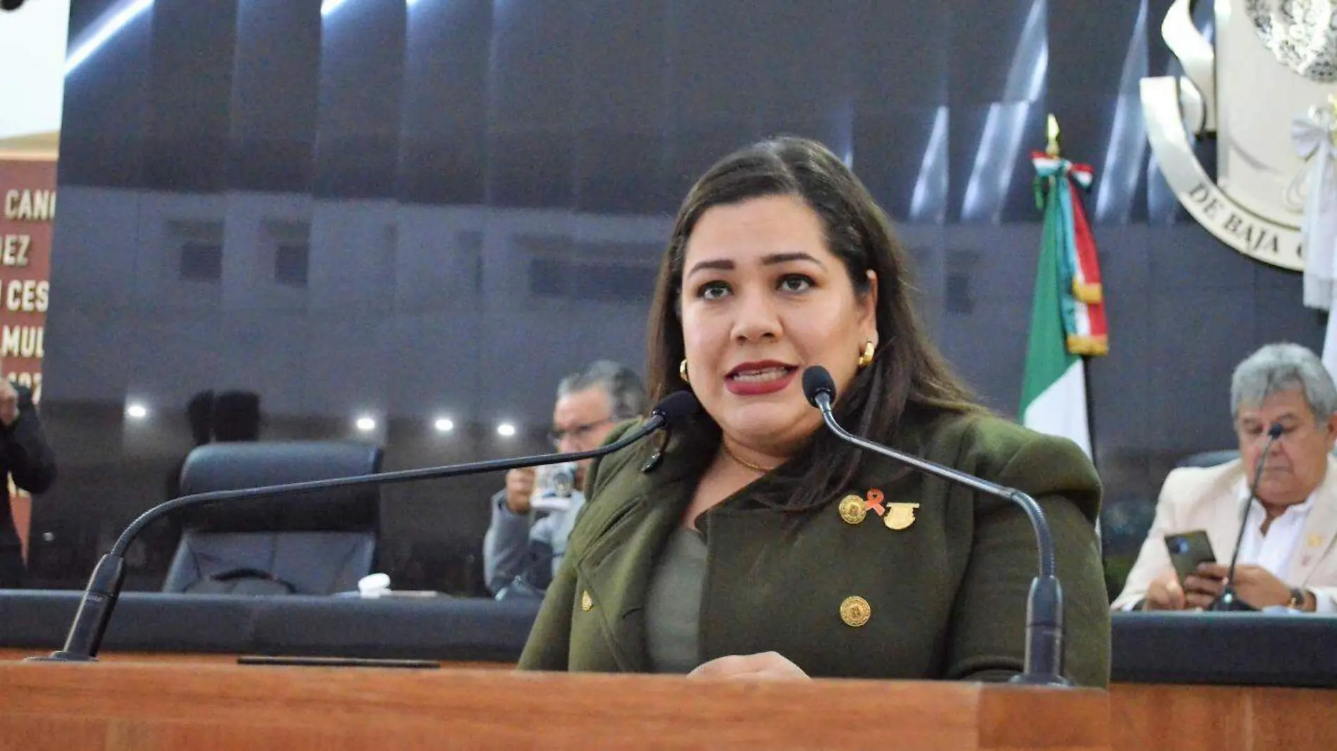 diputada Gabriela Cisneros Ruiz